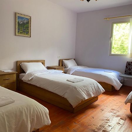 Vita Guesthouse Bajram Curri Esterno foto