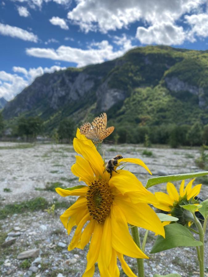 Vita Guesthouse Bajram Curri Esterno foto
